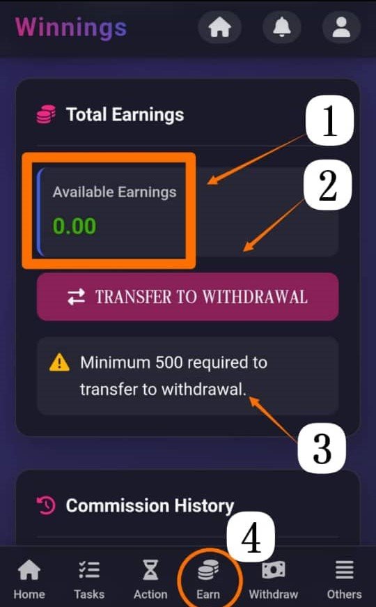 Earnings Overview Interface